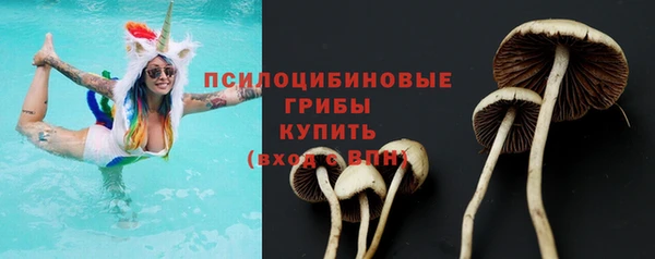 сатива Горно-Алтайск
