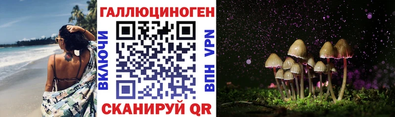 Галлюциногенные грибы ЛСД  Новая Ладога 
