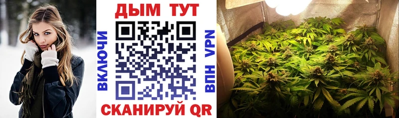 кракен tor  Новая Ладога  Каннабис SATIVA & INDICA 